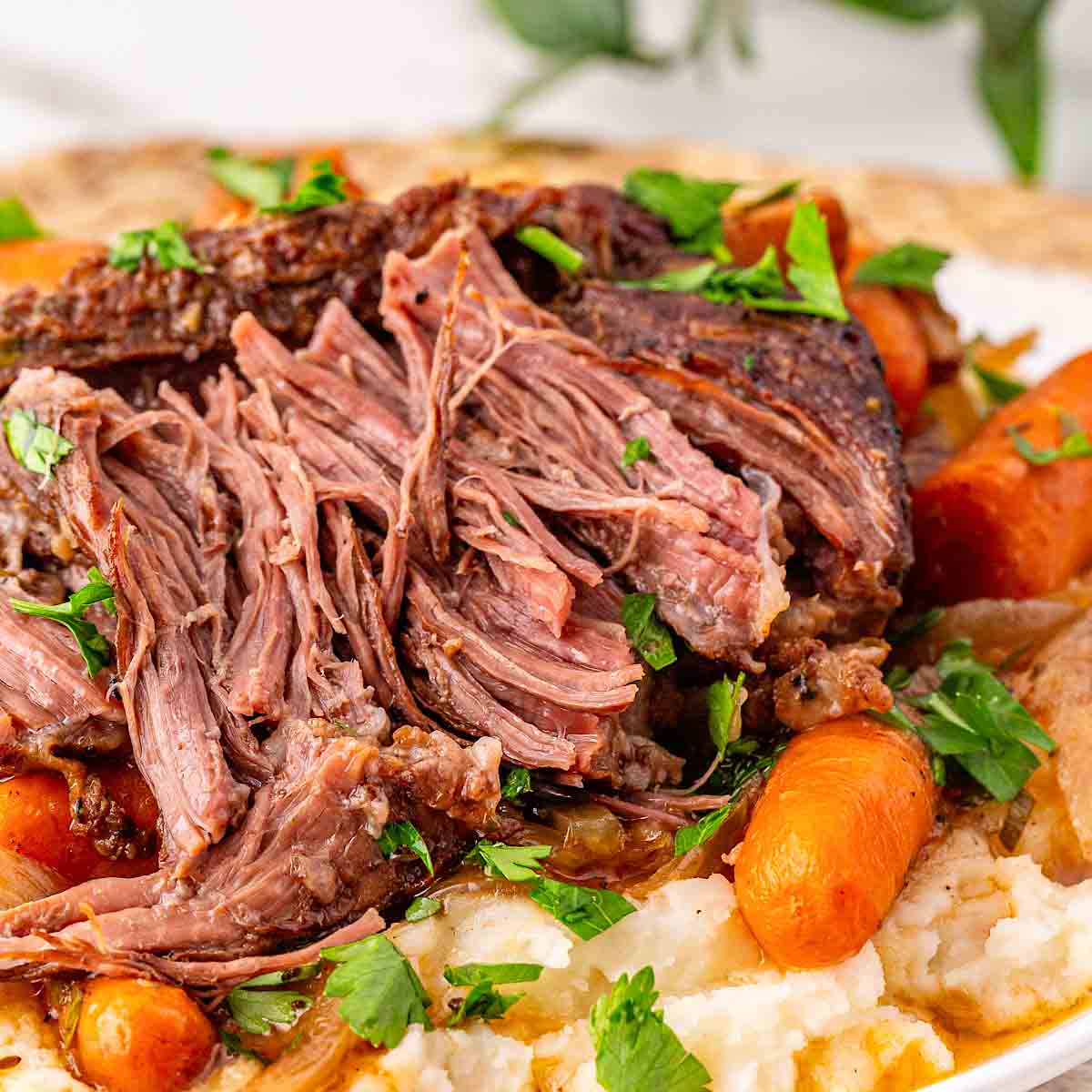 Slow cooker beef short ribs